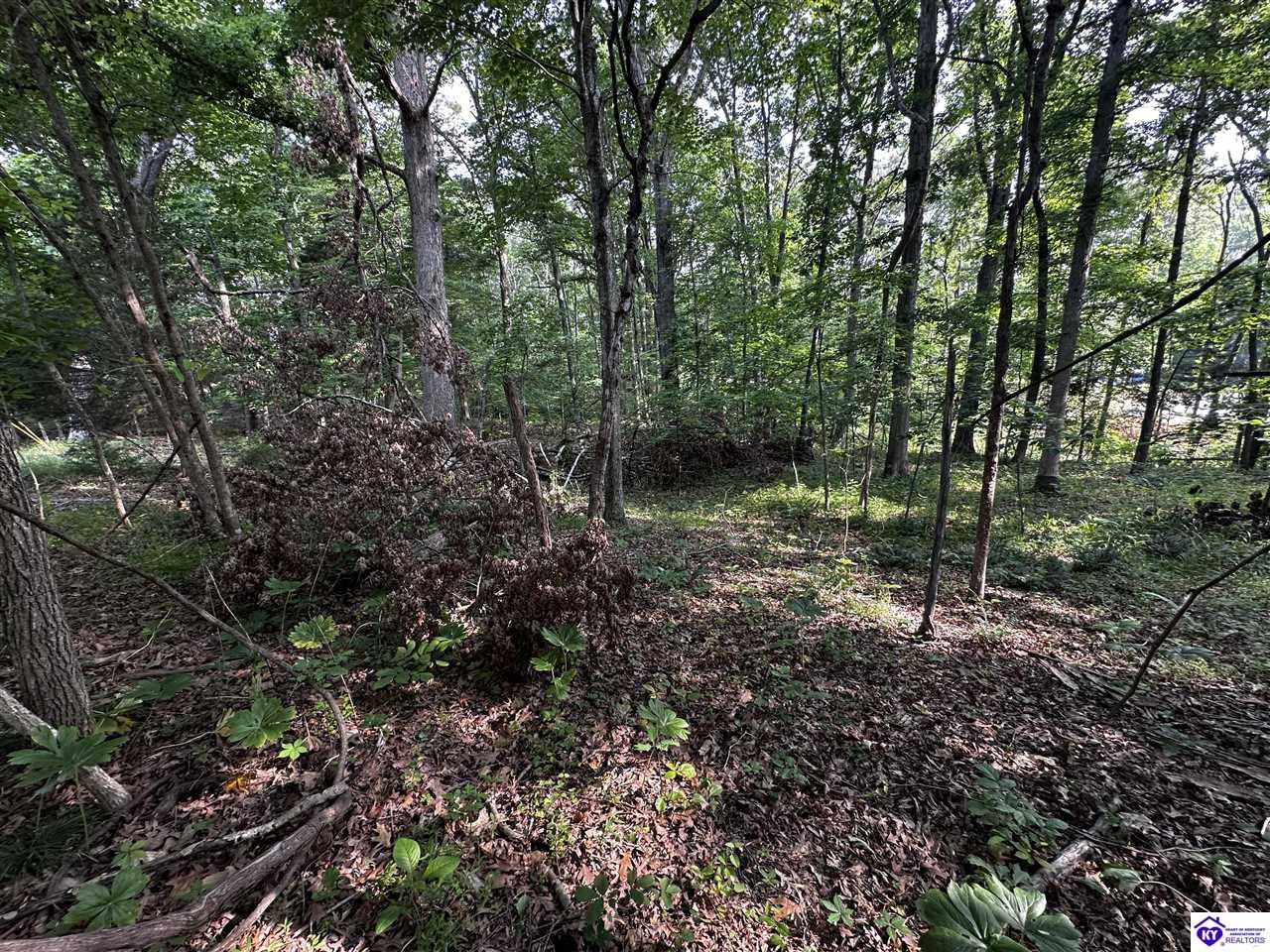 Lot 213 Bobwhite Road Brandenburg, KY 40108 #4