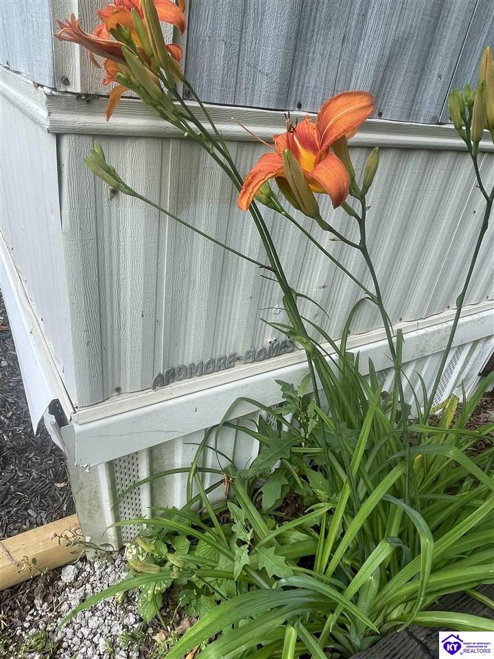 Listing Picture 822 Aetna Furnace Highway Magnolia, KY 42757 MLS HK25002333