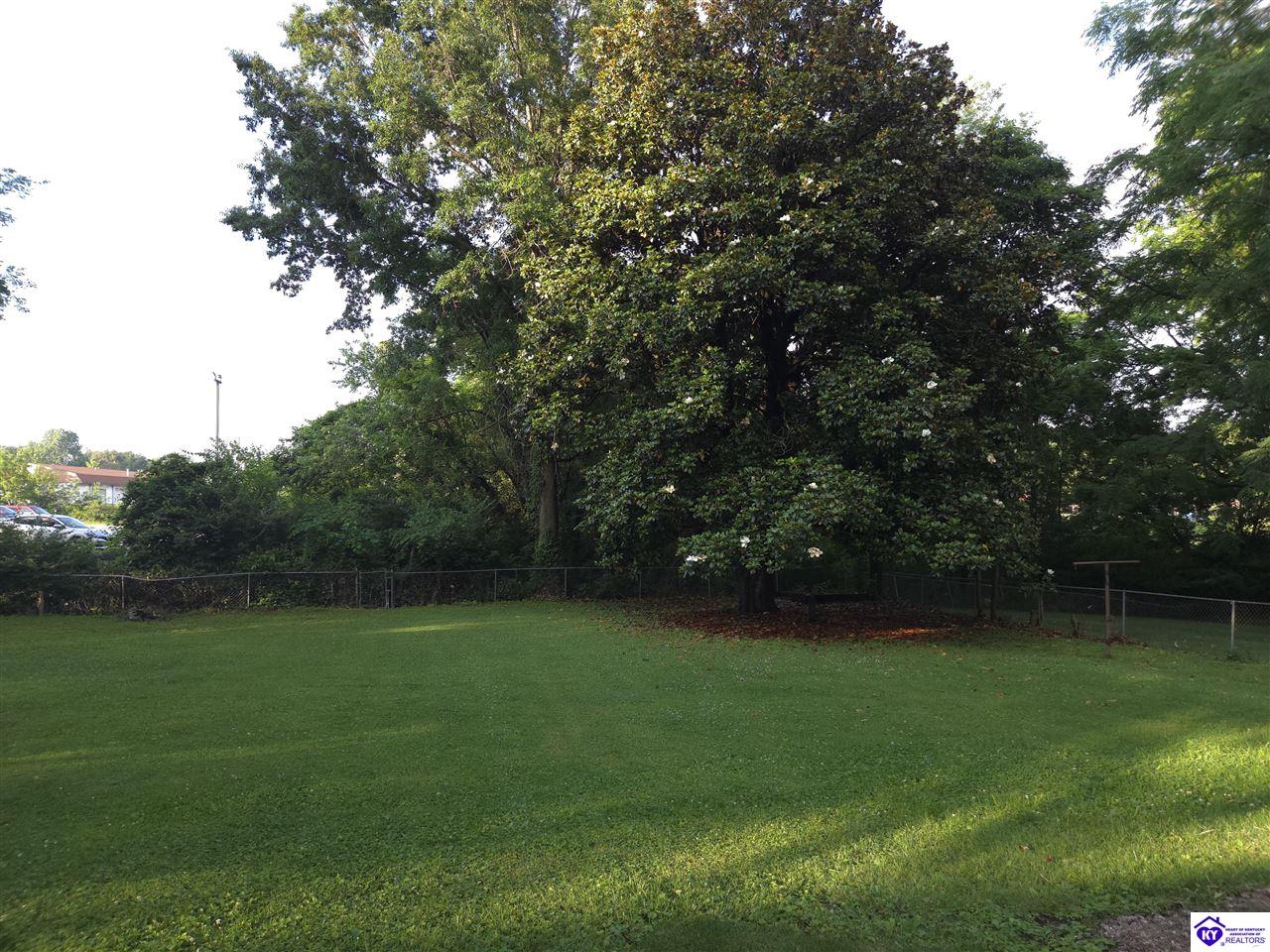 Listing Picture 111 Brooks Street Elizabethtown, KY 42701 MLS HK25002359