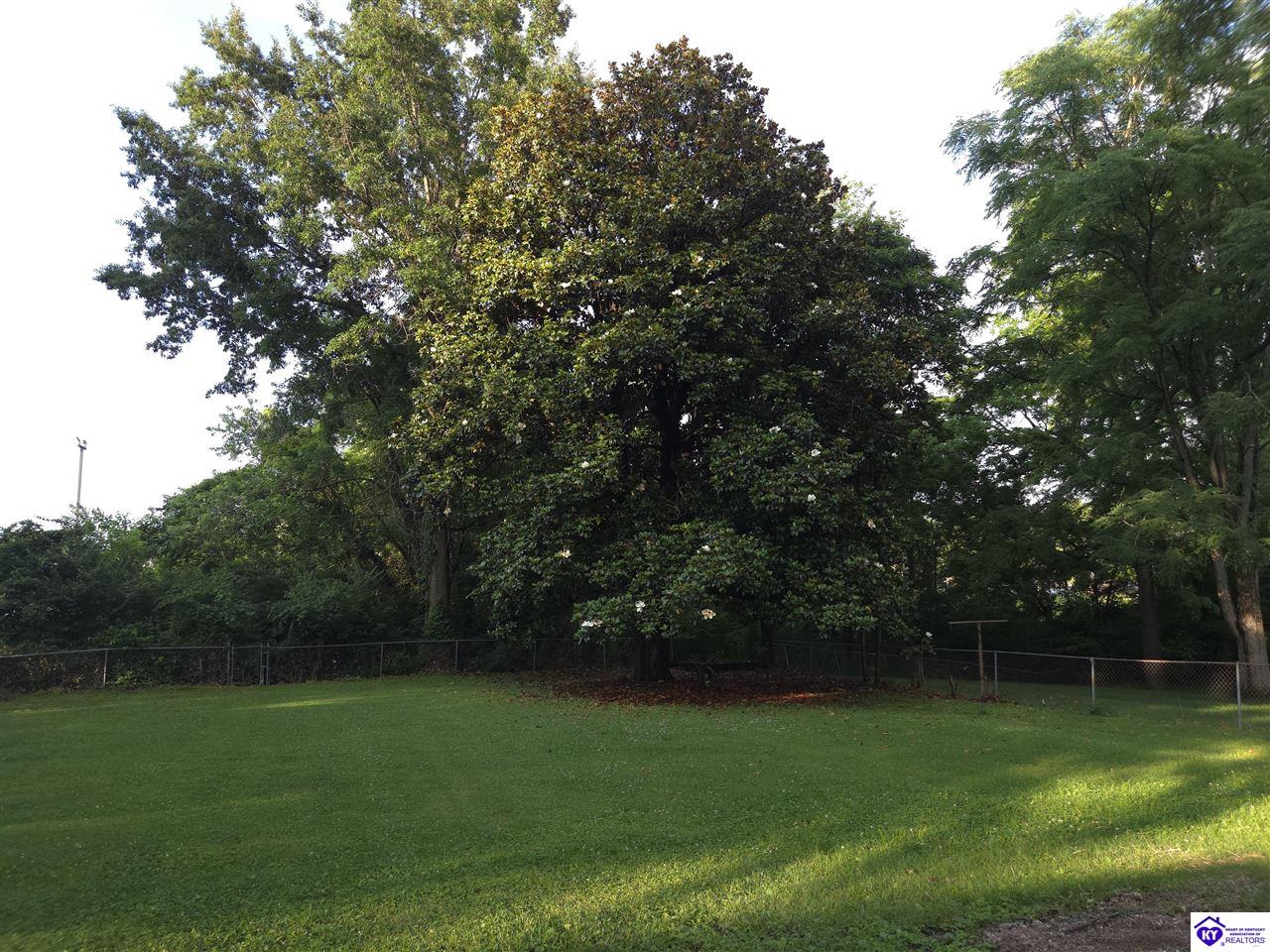 Listing Picture 111 Brooks Street Elizabethtown, KY 42701 MLS HK25002359