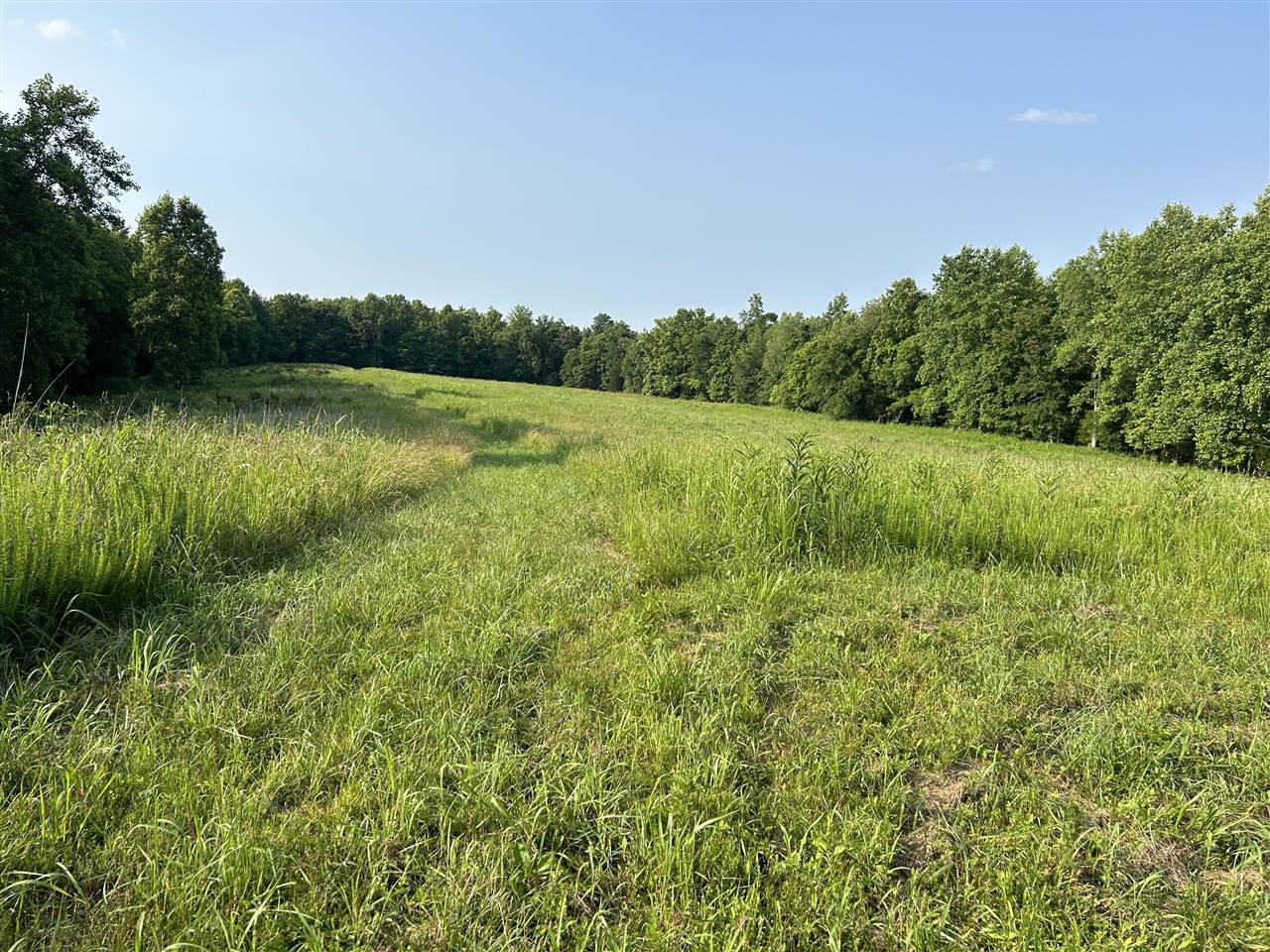 o Guy Jones Road