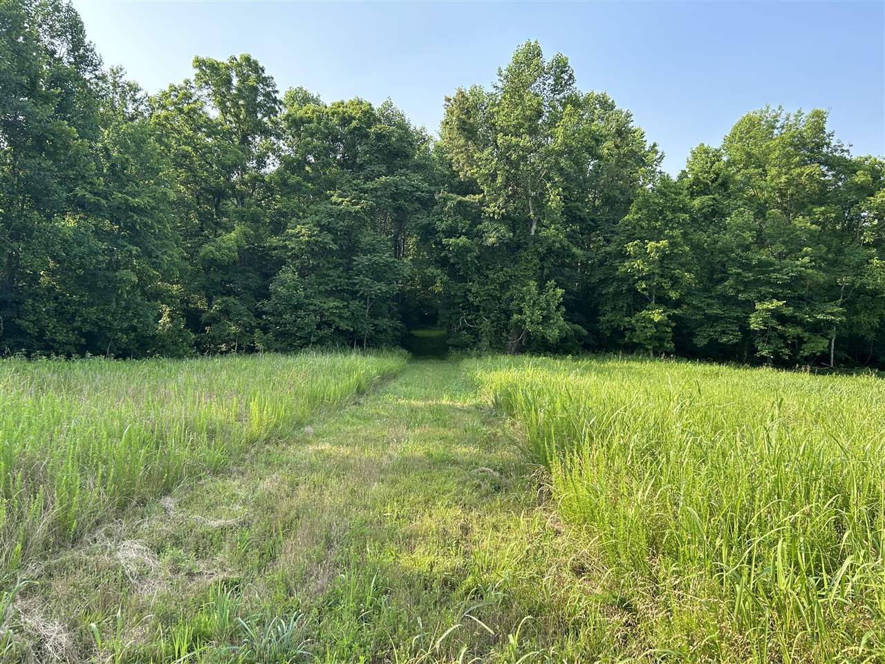 o Guy Jones Road