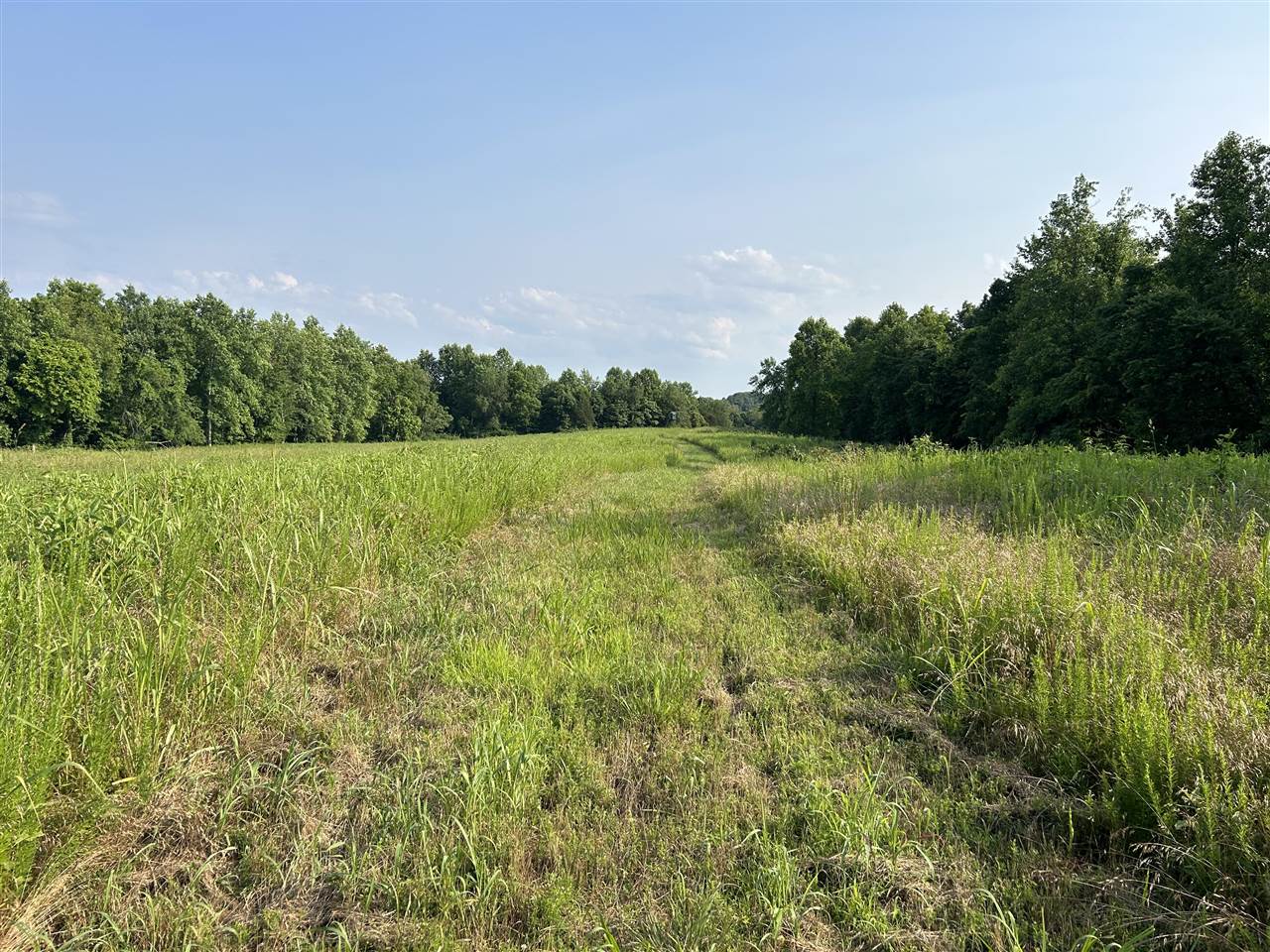 o Guy Jones Road