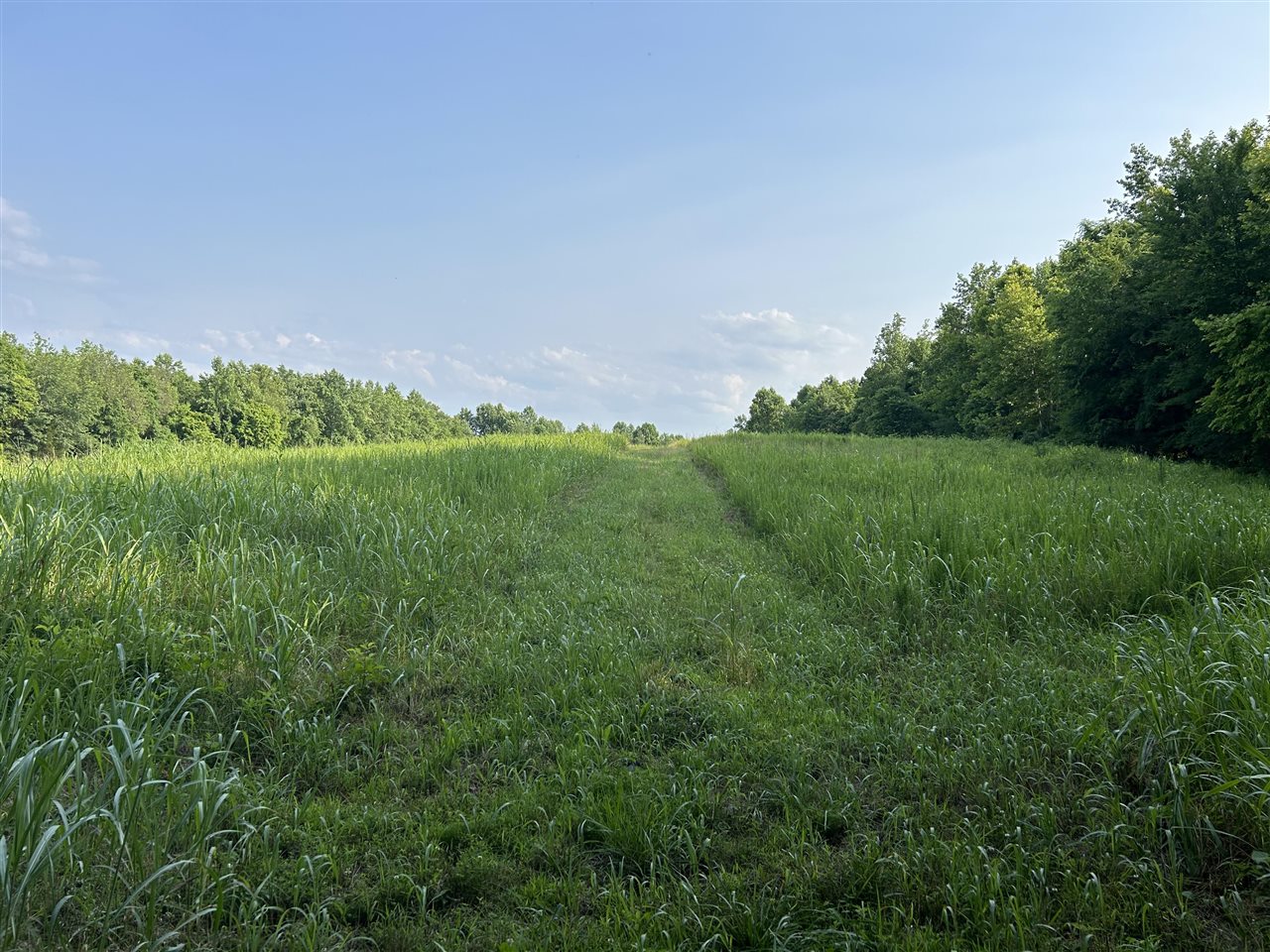 o Guy Jones Road