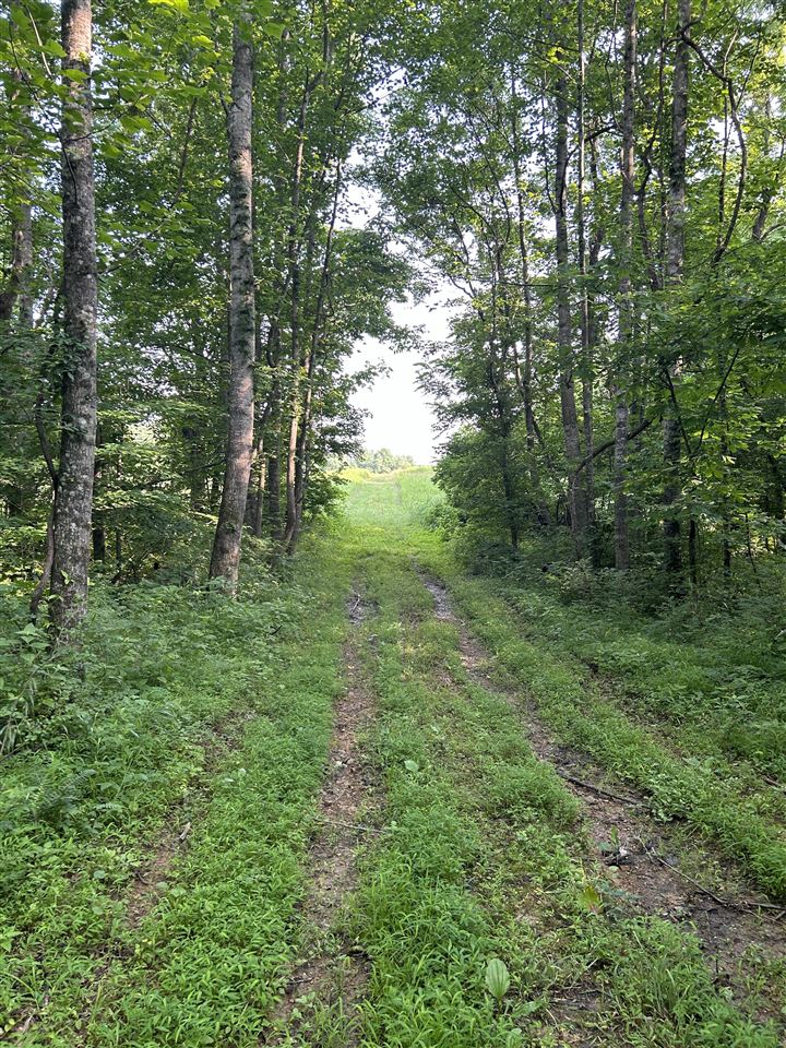 o Guy Jones Road