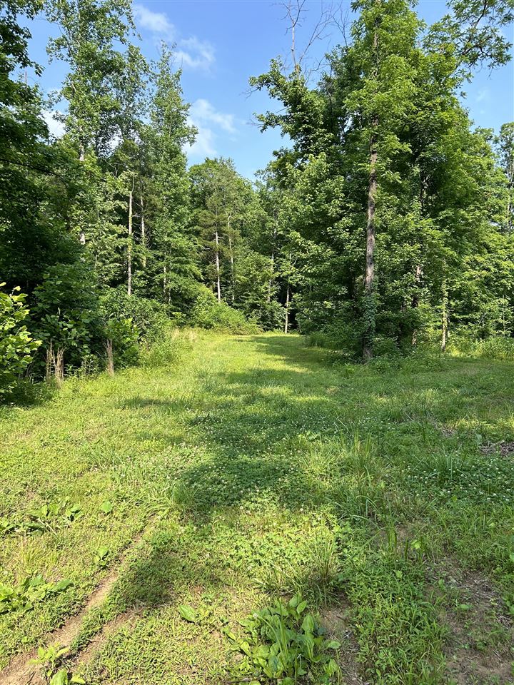 o Guy Jones Road