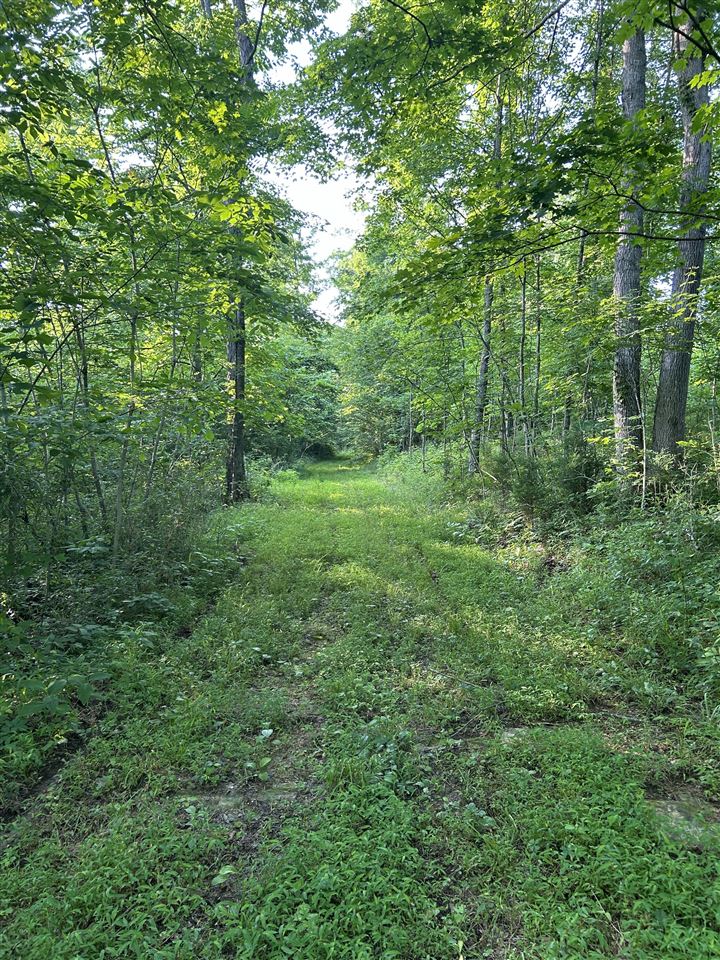 o Guy Jones Road