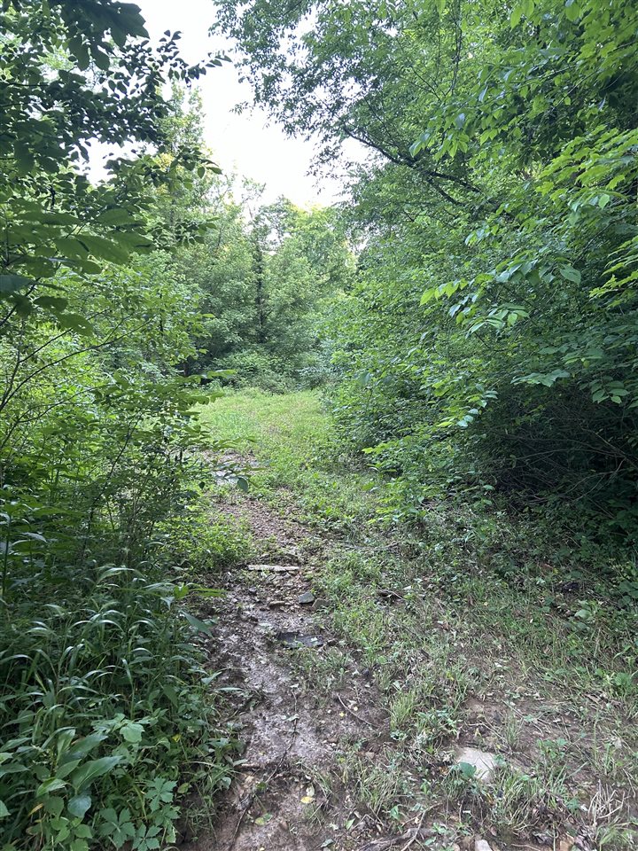 o Guy Jones Road