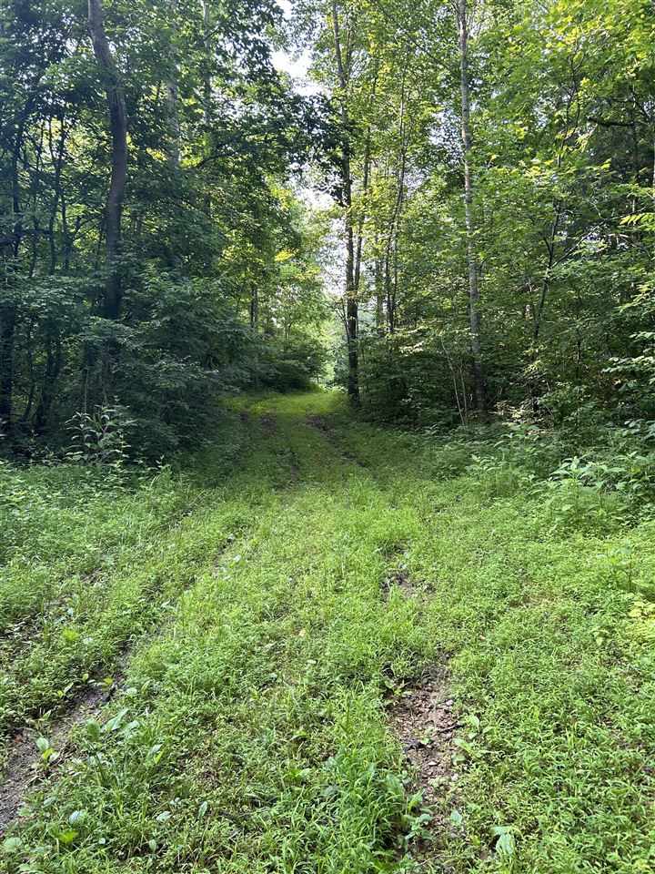 o Guy Jones Road