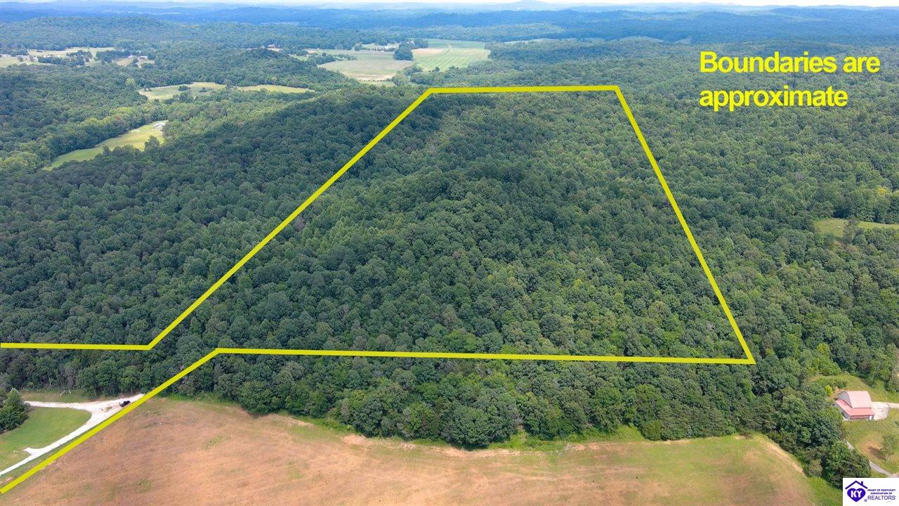 1176 Cave Hill RoadMunfordville, KY 42765