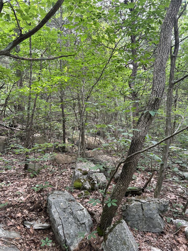 0 Boiling Springs Road