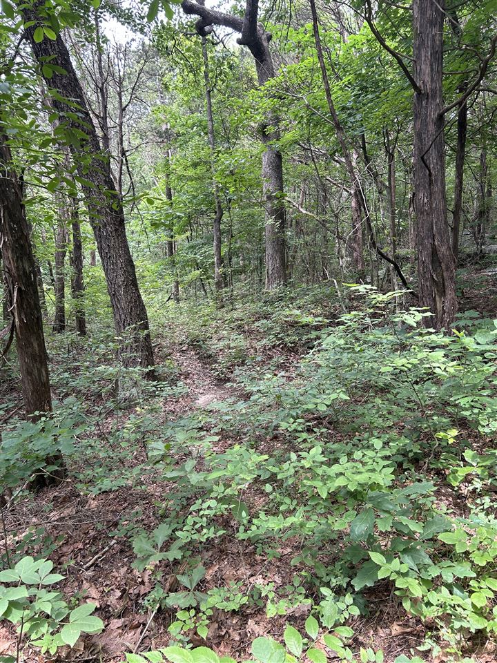 0 Boiling Springs Road