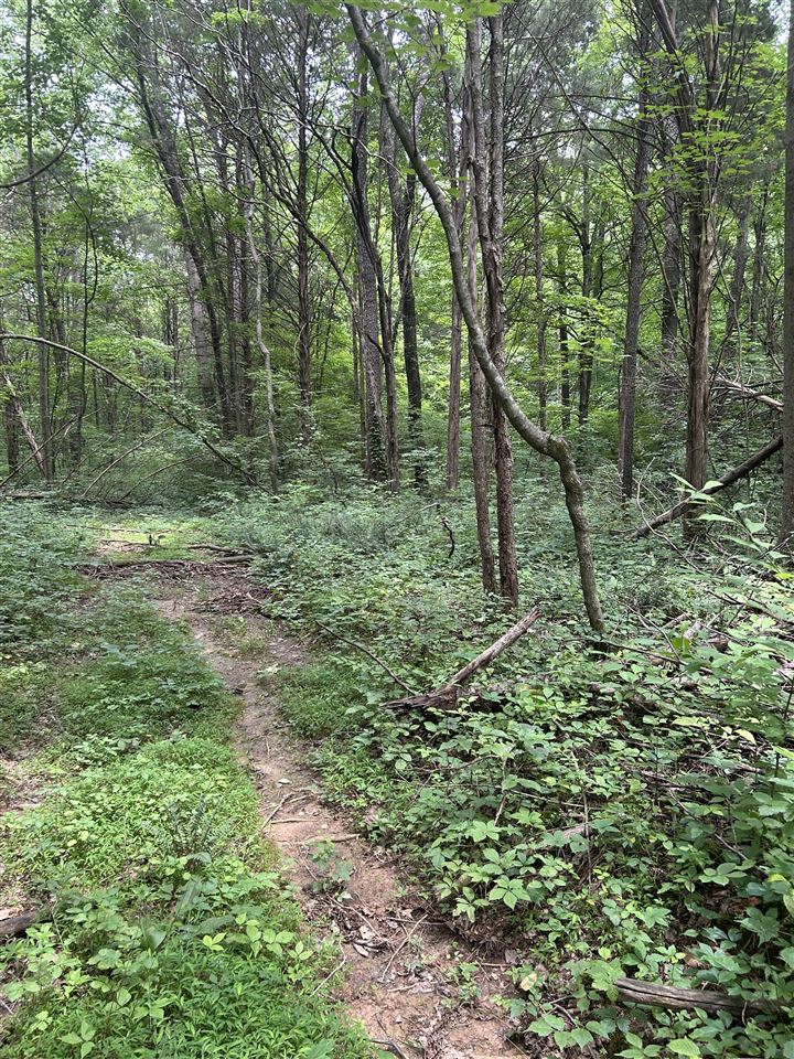 0 Boiling Springs Road