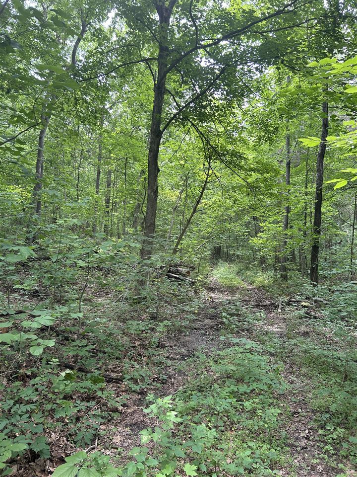 0 Boiling Springs Road