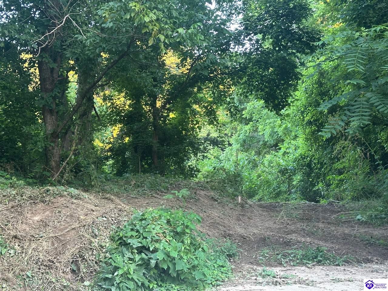 0 Highway 49Bradfordsville, KY 40009