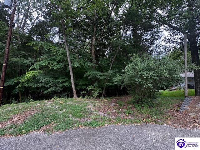 Lot 55 Bluebird RoadBrandenburg, KY 40108
