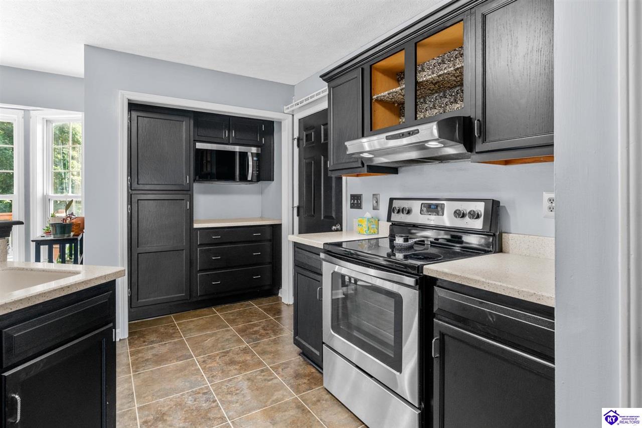 Listing Picture 289 Schlaefer Way Rineyville, KY 40162 MLS HK25002674