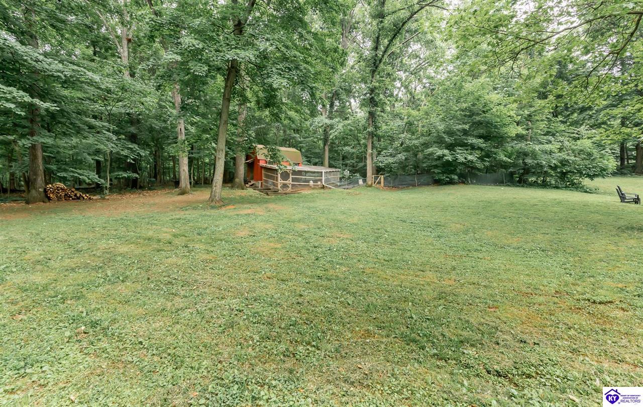 Listing Picture 1220 Gaines Road Brandenburg, KY 40108 MLS HK25002682