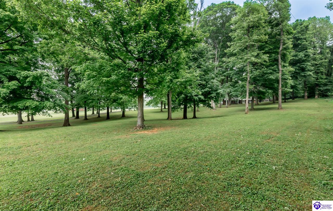 Listing Picture 1220 Gaines Road Brandenburg, KY 40108 MLS HK25002682