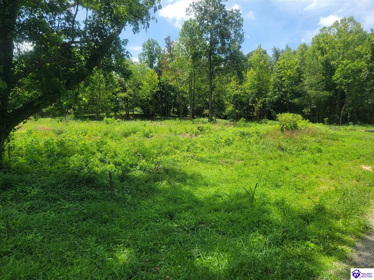 680 Chandler AvenueRadcliff,&nbsp;KY&nbsp;40160