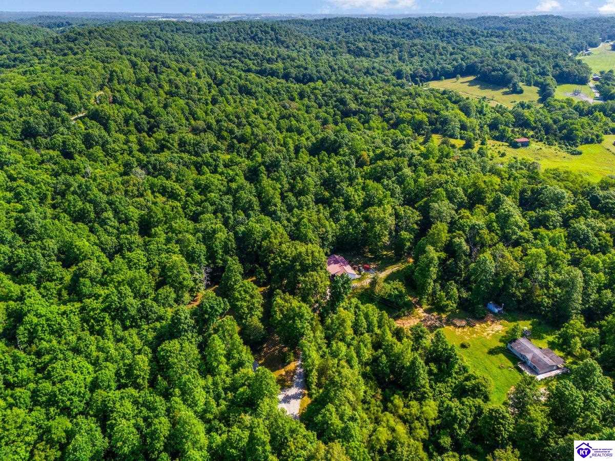 Listing Picture 220 Bolton School Road Bonnieville, KY 42713 MLS HK25002877