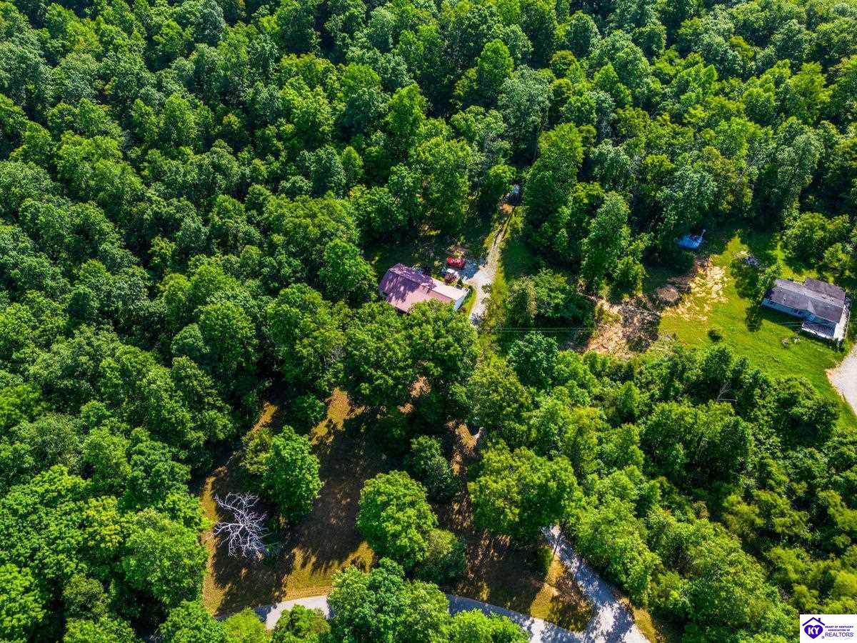 Listing Picture 220 Bolton School Road Bonnieville, KY 42713 MLS HK25002877