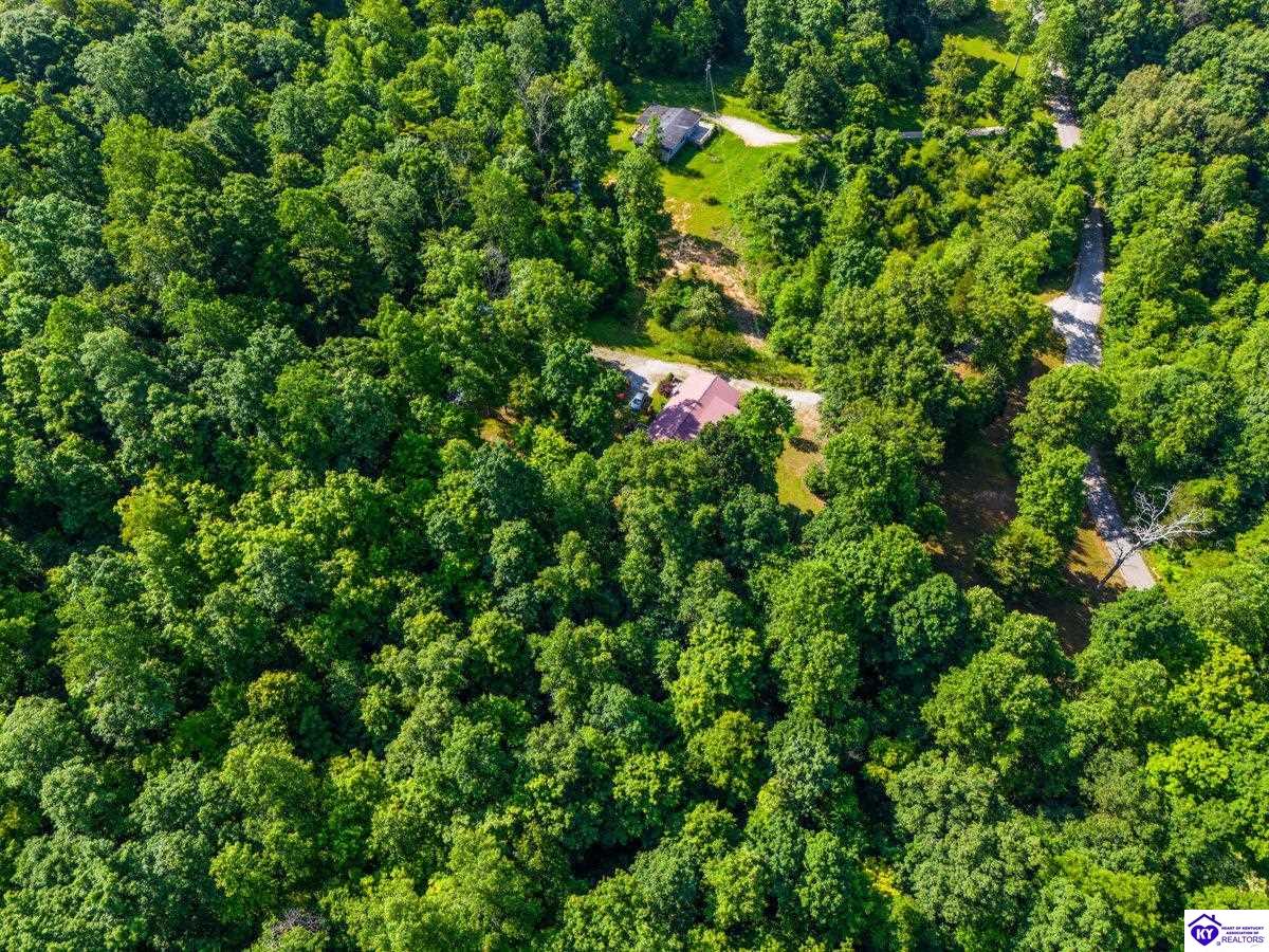 Listing Picture 220 Bolton School Road Bonnieville, KY 42713 MLS HK25002877