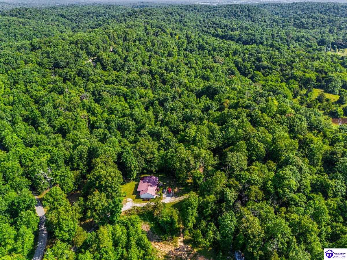 Listing Picture 220 Bolton School Road Bonnieville, KY 42713 MLS HK25002877