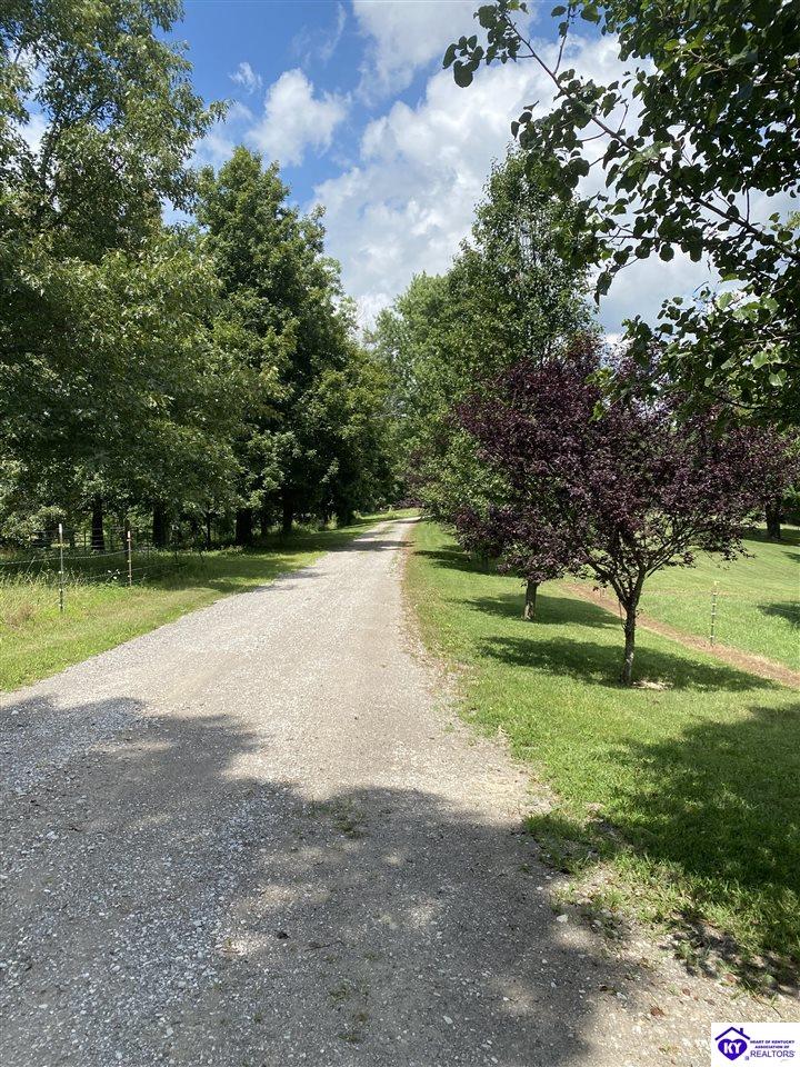 Listing Picture 1088 Wonderland Cavern Road Cecilia, KY 42724 MLS HK25002909