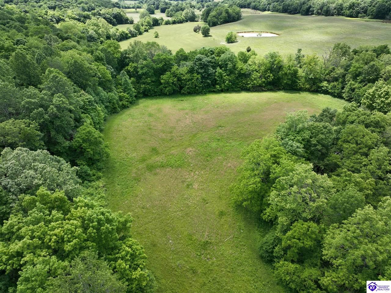 5579 Falls of Rough RoadCaneyville, KY 42721