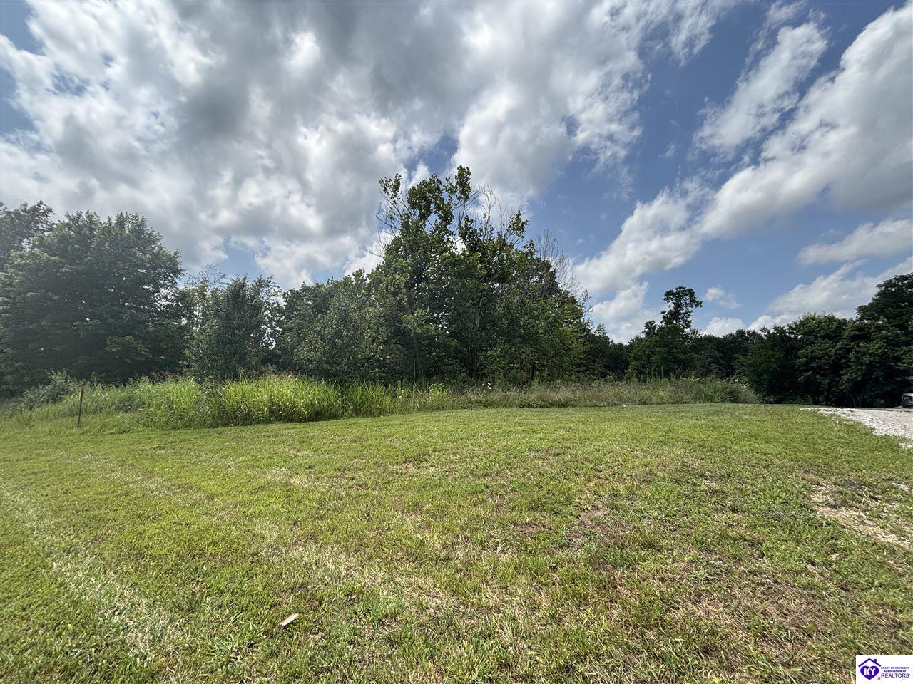 2565 Rabbit Run RoadVine Grove, KY 40175