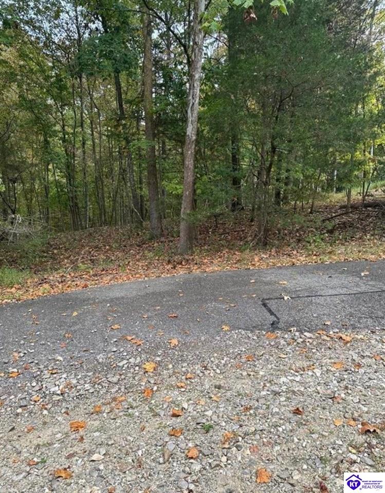 971 Penny Royal LaneBrandenburg, KY 40108