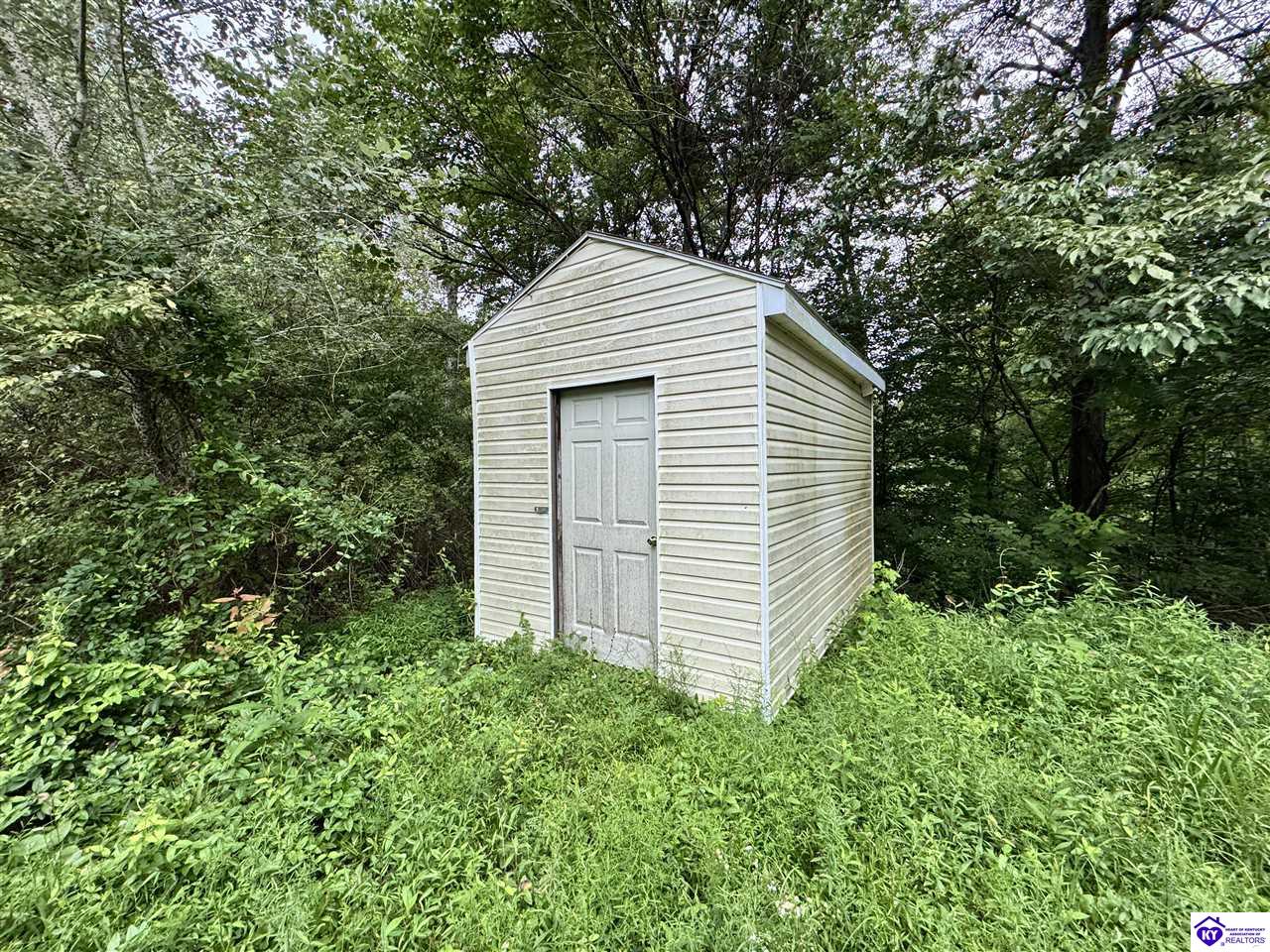 Listing Picture 12133 Caneyville Road Caneyville, KY 42721 MLS HK25003280