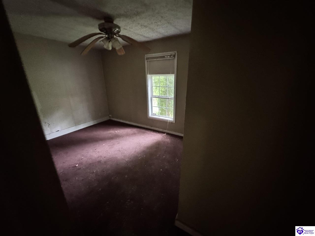 Listing Picture 12133 Caneyville Road Caneyville, KY 42721 MLS HK25003280