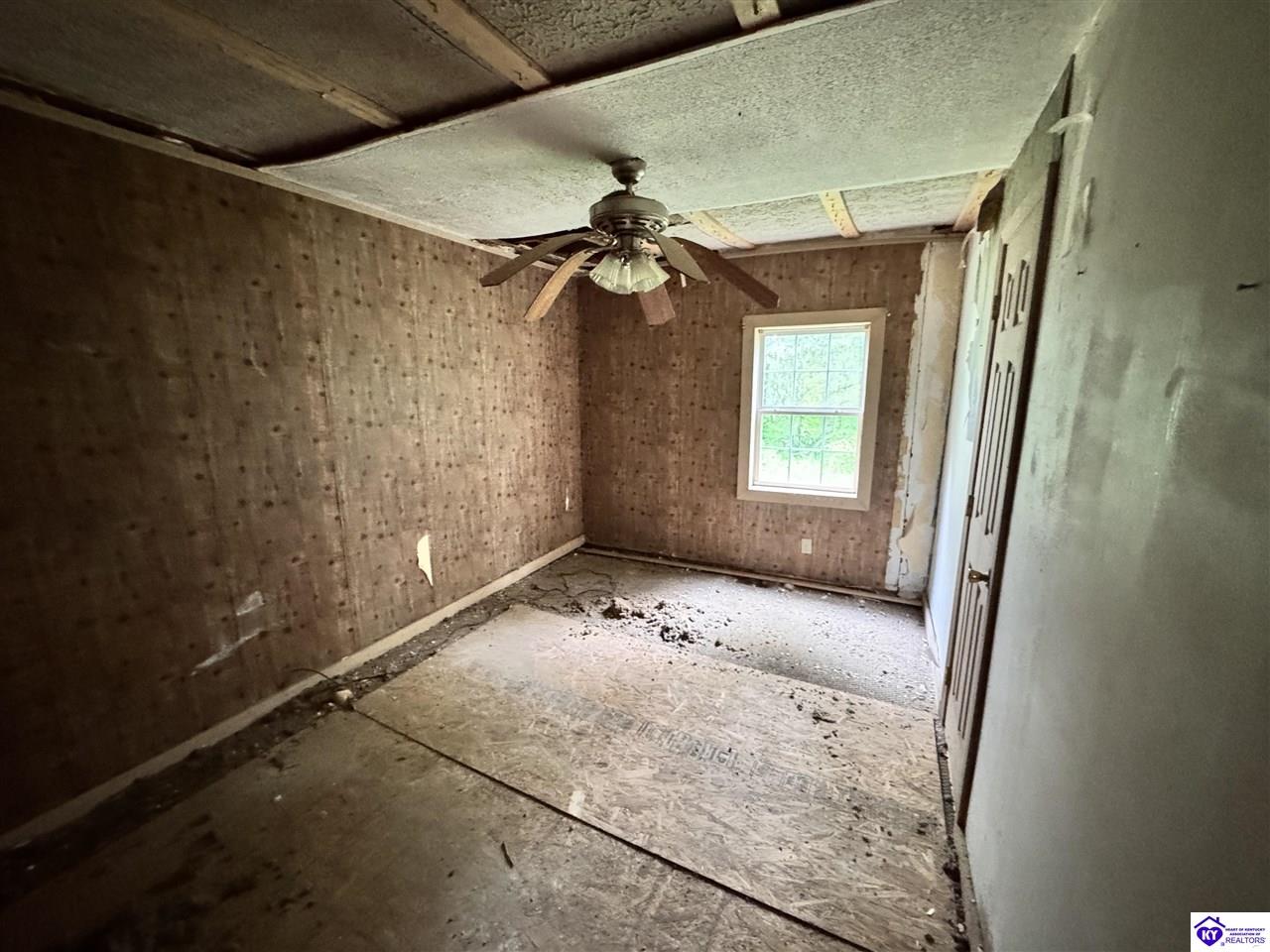 Listing Picture 12133 Caneyville Road Caneyville, KY 42721 MLS HK25003280