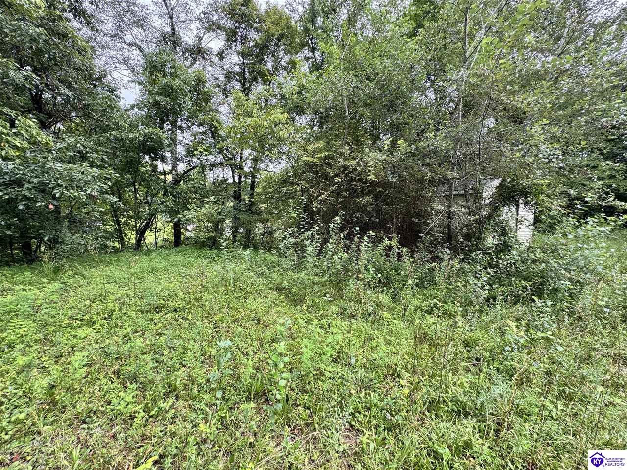 Listing Picture 12133 Caneyville Road Caneyville, KY 42721 MLS HK25003280