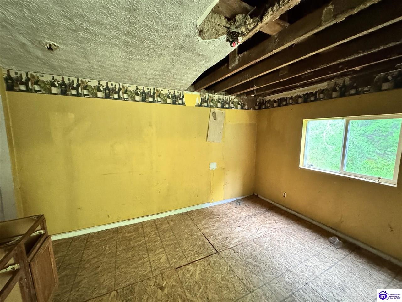 Listing Picture 12133 Caneyville Road Caneyville, KY 42721 MLS HK25003280