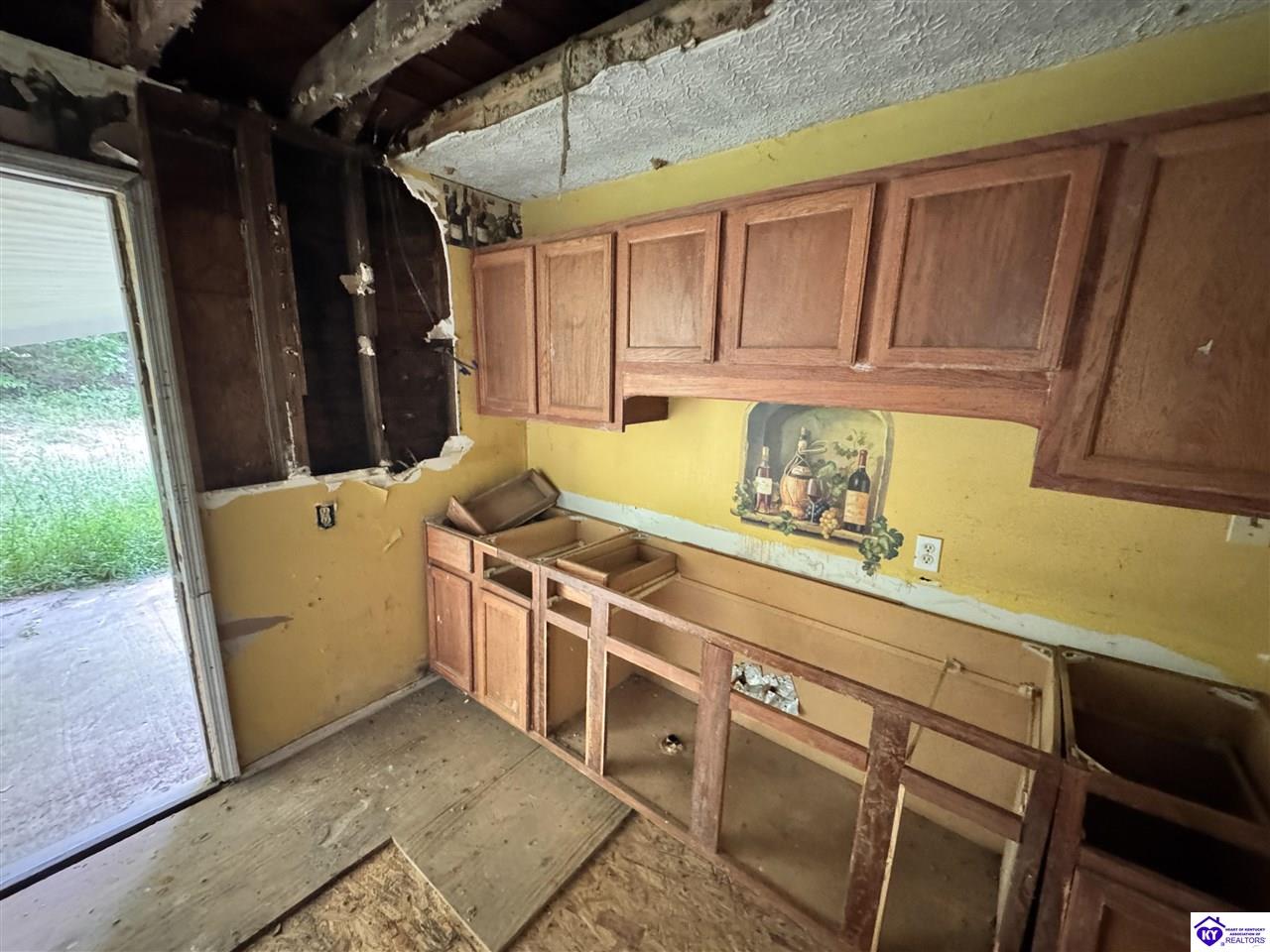 Listing Picture 12133 Caneyville Road Caneyville, KY 42721 MLS HK25003280