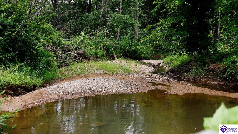 Tract 1 Cook LaneCromwell,&nbsp;KY&nbsp;42733