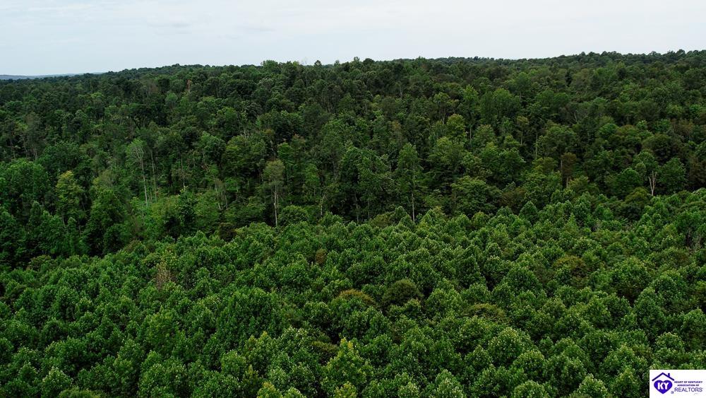 Tract 9 Cook LaneCromwell,&nbsp;KY&nbsp;42333