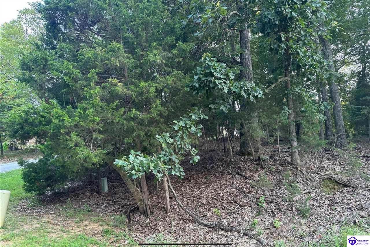 539 Strawberry Hill DriveBrandenburg, KY 40108