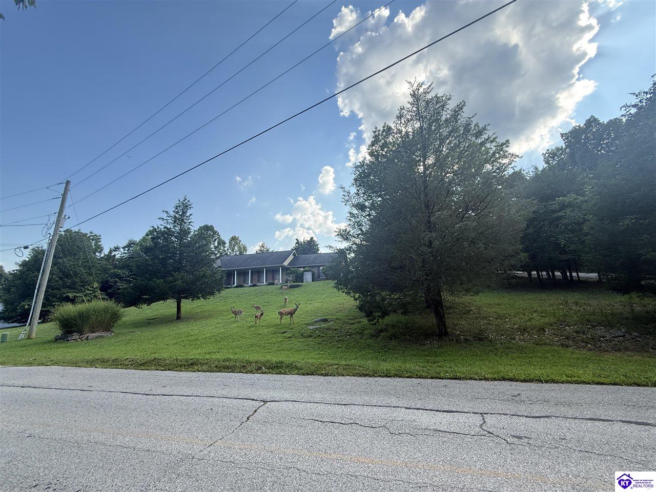 539 Strawberry Hill Drive Brandenburg, KY 40108 #1