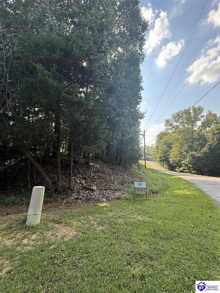 539 Strawberry Hill Drive Brandenburg, KY 40108 #2