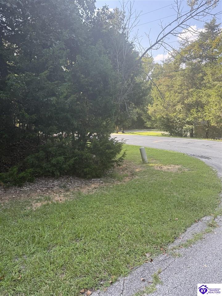 539 Strawberry Hill Drive Brandenburg, KY 40108 #3