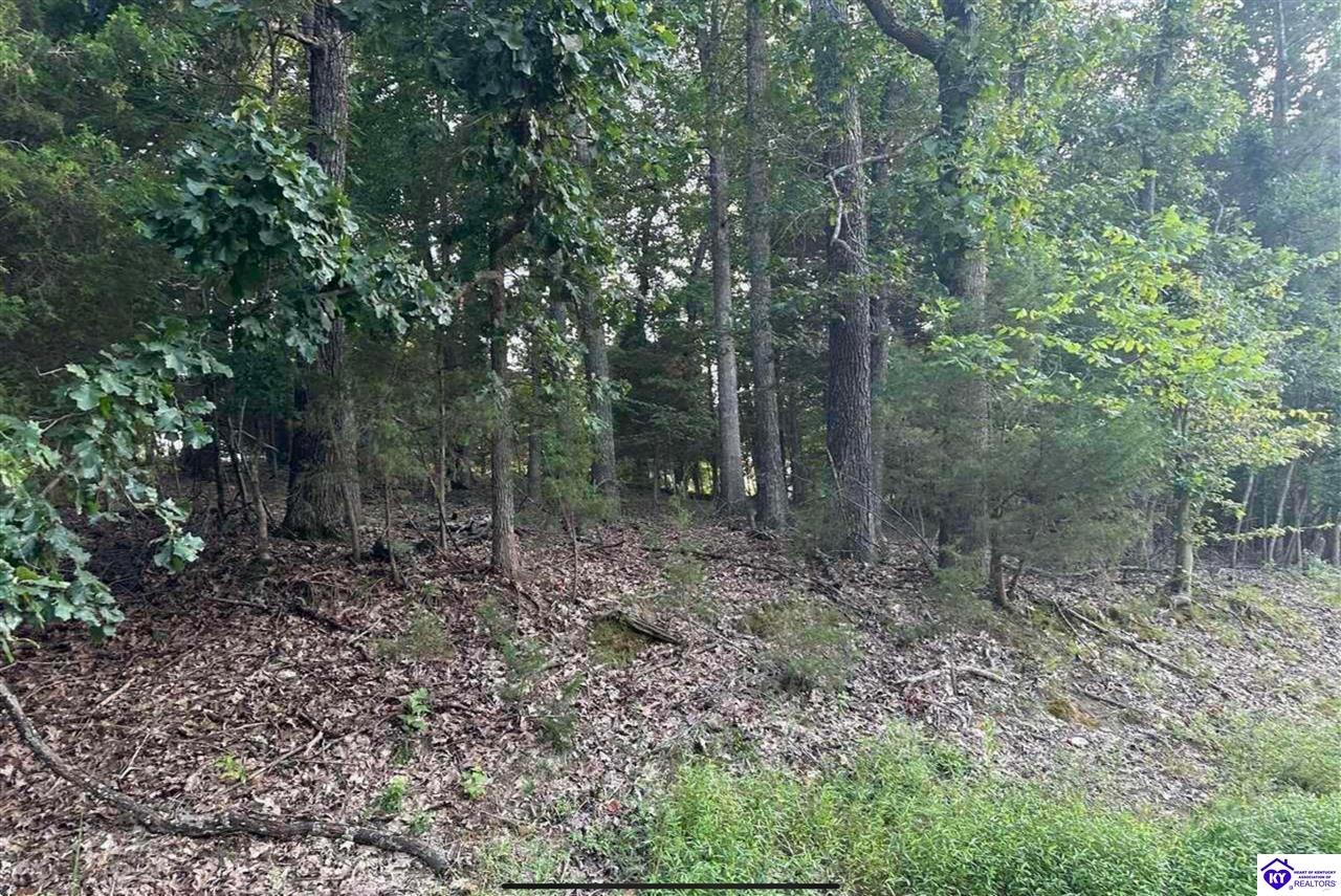 539 Strawberry Hill Drive Brandenburg, KY 40108 #4