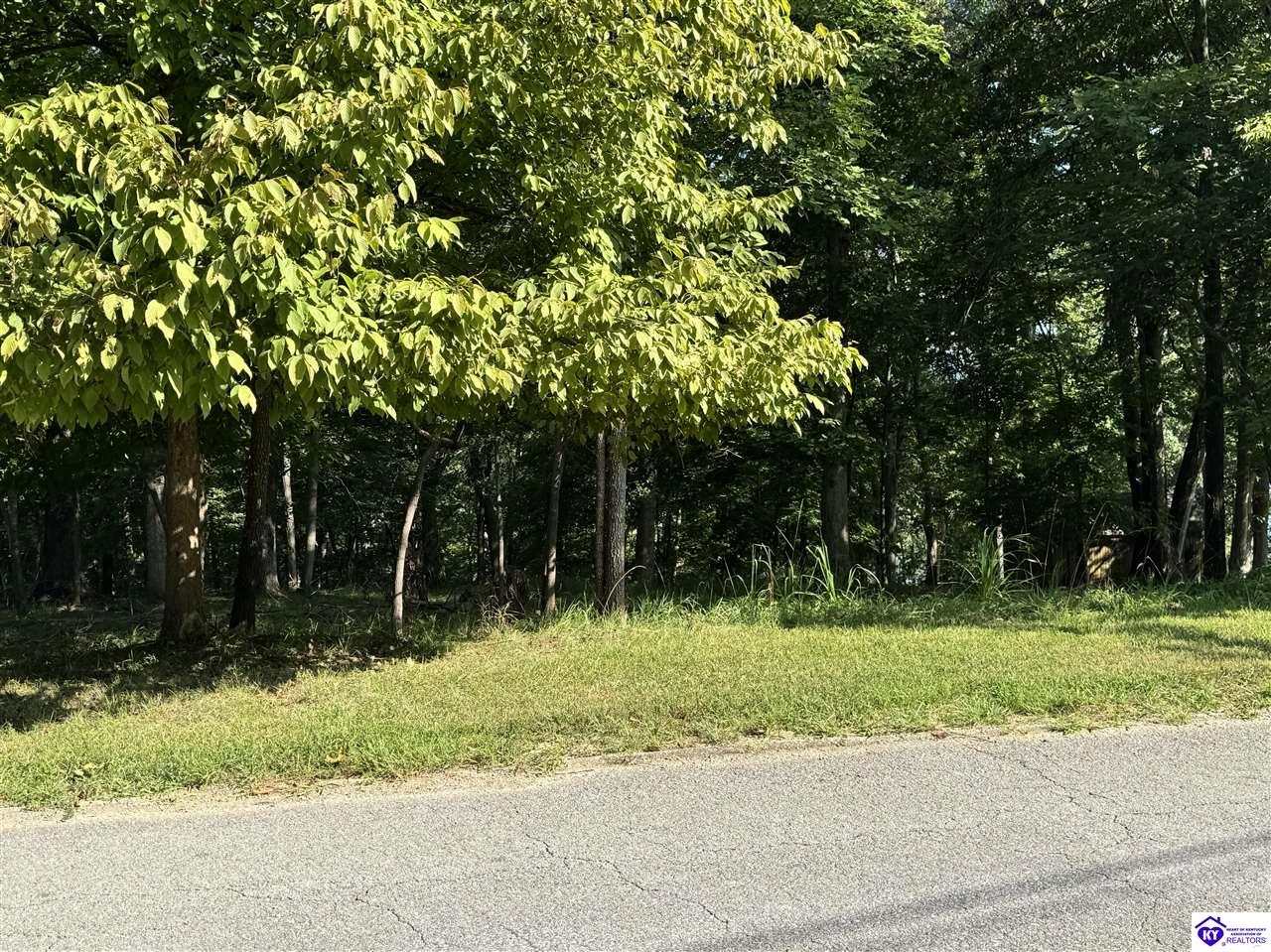 62 Lakeshore ParkwayBrandenburg,&nbsp;KY&nbsp;40108