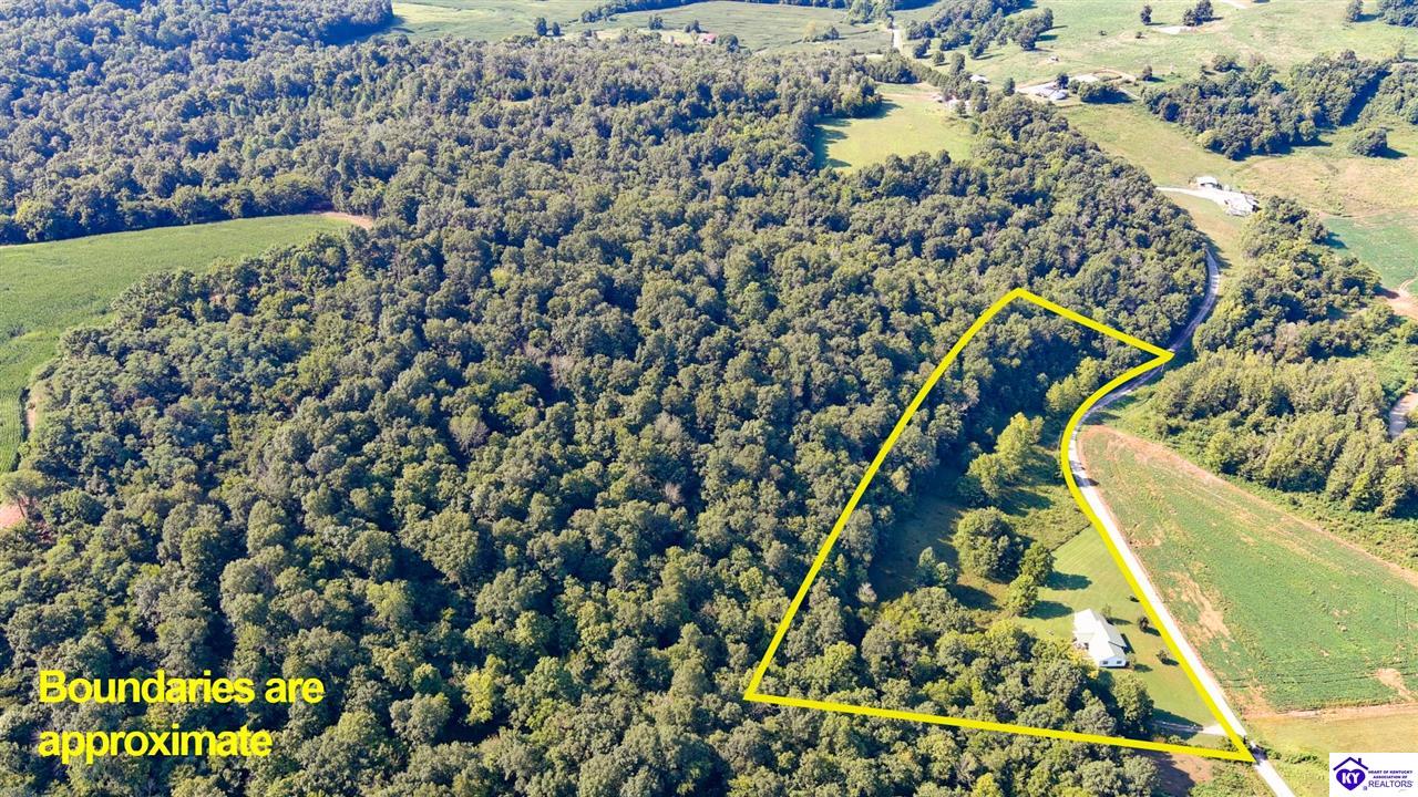 Listing Picture 1573 Mook Centerview Road Hudson, KY 40145 MLS HK25003458