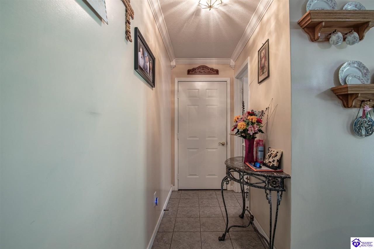 Listing Picture 1573 Mook Centerview Road Hudson, KY 40145 MLS HK25003458