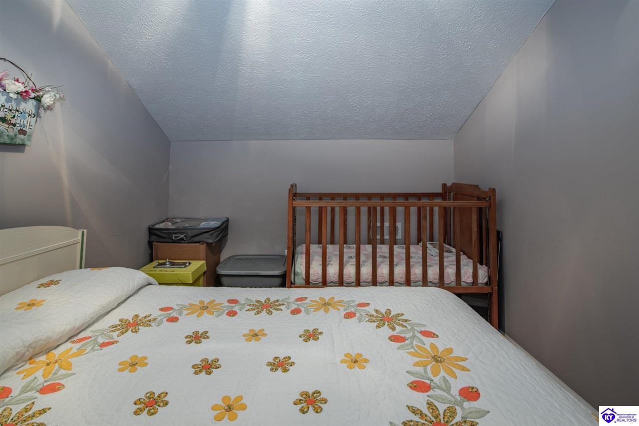 Listing Picture 1573 Mook Centerview Road Hudson, KY 40145 MLS HK25003458