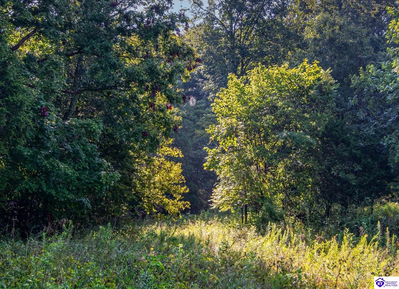 Listing Picture 1573 Mook Centerview Road Hudson, KY 40145 MLS HK25003458